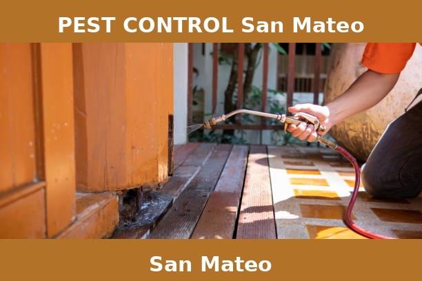 PEST CONTROL San Mateo